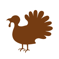 Turkey Icon